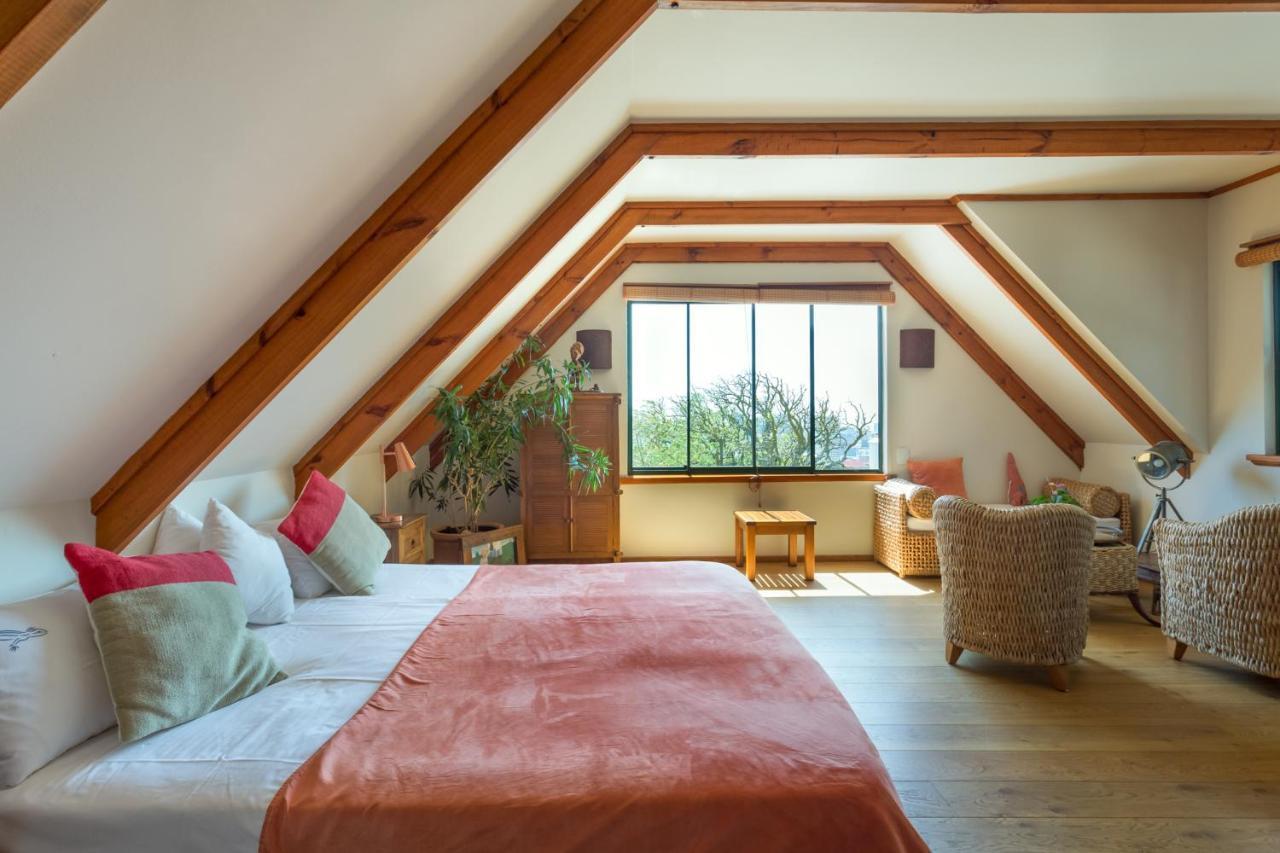 Guest house Lezard Bleu 4*